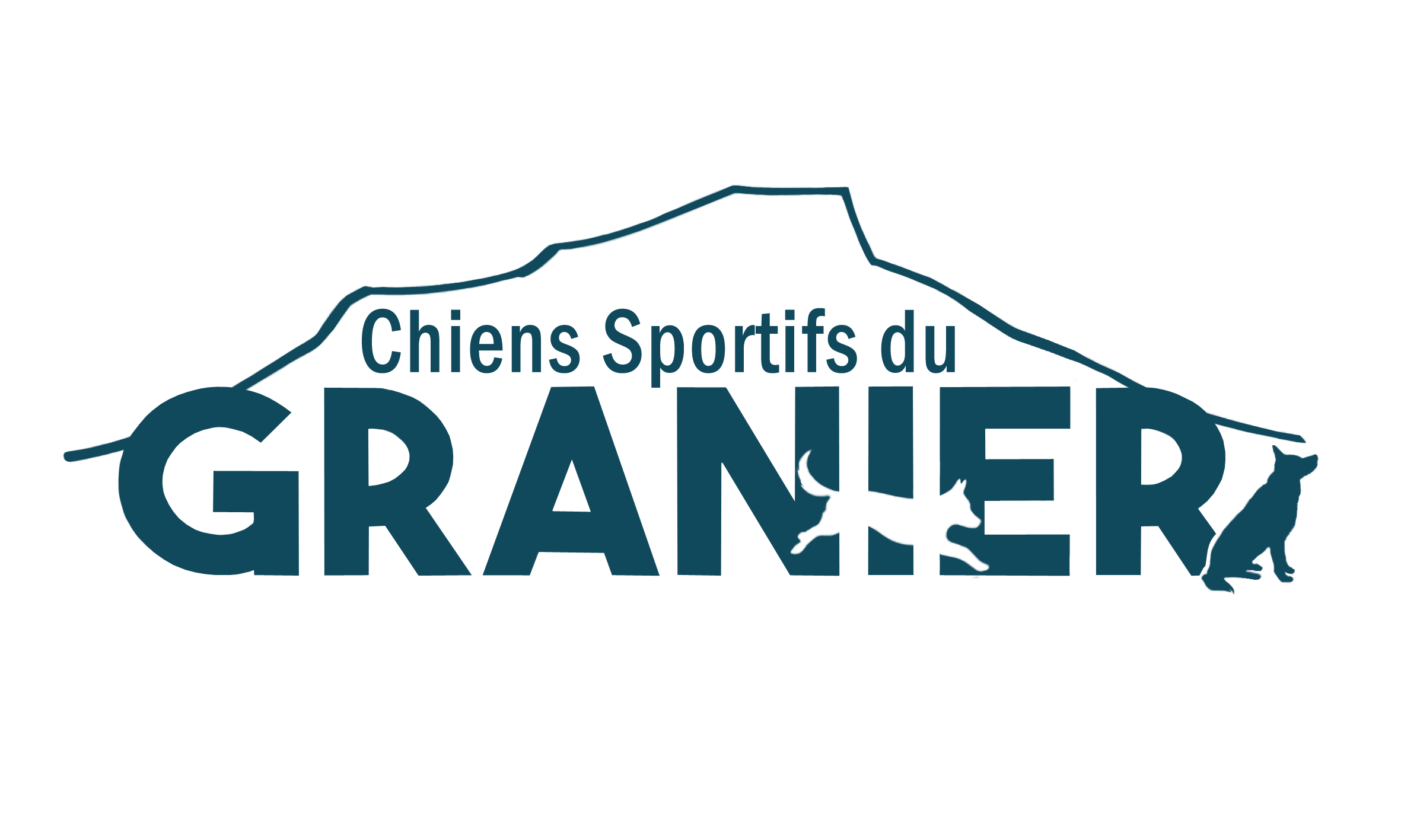 chiensportifsdugranier.fr